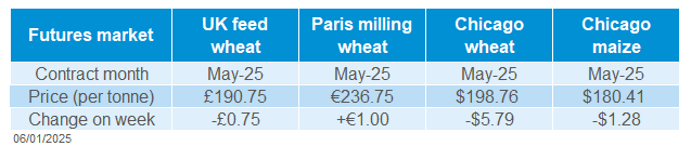 Global grain prices 06 01 202572.png